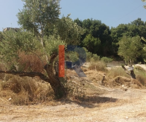 R9-3764 Land for Sale in Aabra – Saida, 2,365 m², Zoning 15% — 5