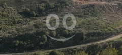 Land for sale in Tyre 5000 sqm | أرض للبيع في القليلة قضاء صور 5000 متر