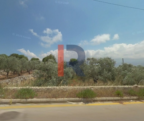 R9-3780 Land for Sale – Batroumine, Koura | 4,000 m² — 2