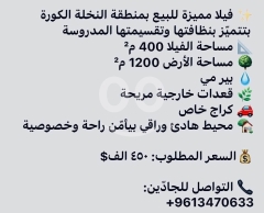 فيلا مميزة للبيع منطقة النخلة الكورة