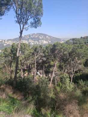 Land for Sale in Arraya - Baabda — 5