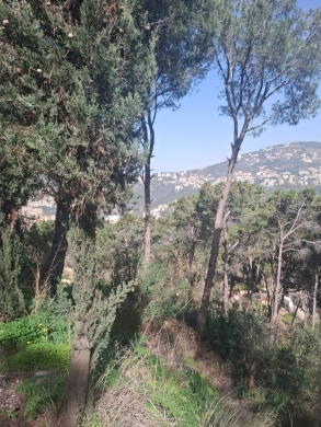 Land for Sale in Arraya - Baabda — 2