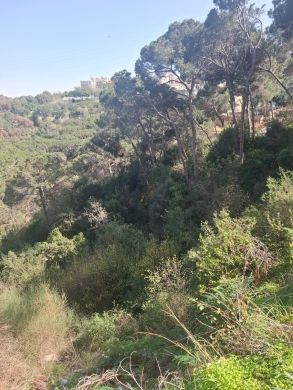 Land for Sale in Arraya - Baabda — 6