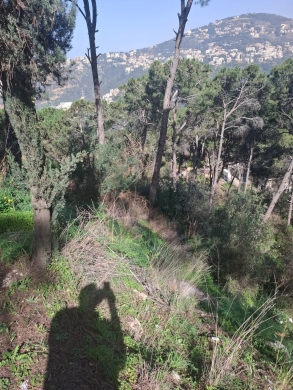 Land for Sale in Arraya - Baabda — 4