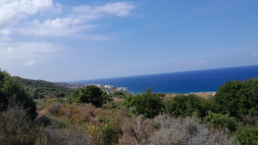 Land for Sale in Berbara - Jbeil — 3