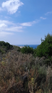 Land for Sale in Berbara - Jbeil — 2