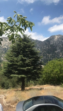 Lands for sale in Tannourine - Land for Sale in Balaa - Batroun