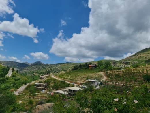 Lands for sale in Tannourine - Land for Sale in Tannourine - Batroun