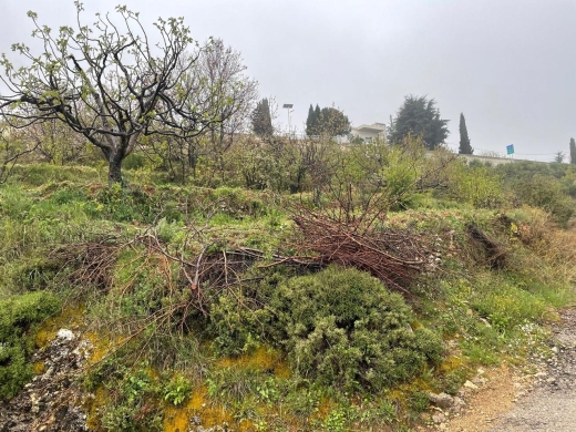 اراضي للبيع في حدتوني - Land for Sale in Hadtoun - Batroun