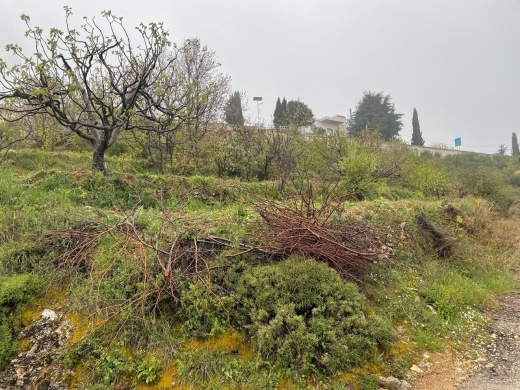 Land for Sale in Hadtoun - Batroun — 2