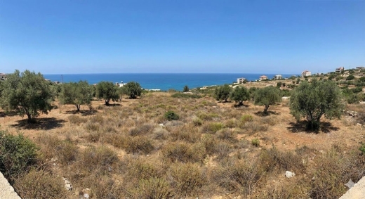 Lands for sale dans Chekka - Two Lands for Sale in Chekka - Batroun