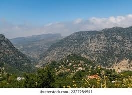 Lands for sale dans Chatiyeh - Land for Sale in Chatine - Batroun