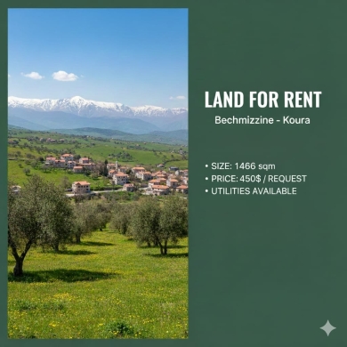 Lands for rent in Bechmizzine - Land for Rent in Bechmizzine - Koura
