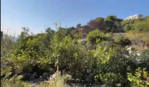 Lands for sale dans Betchay - High-Investment Land for Sale in Boutchay -Baabda