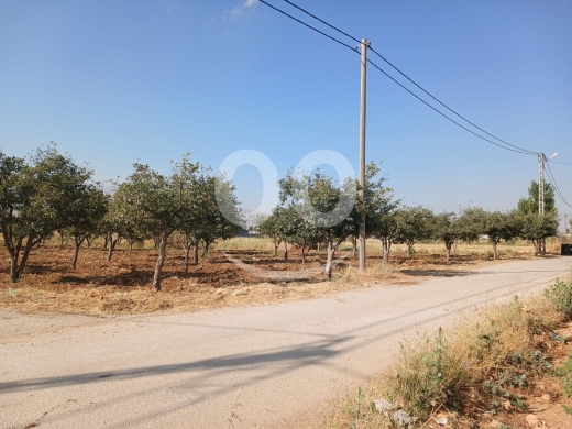 Lands for sale in Taalabaya - أرض صناعية للبيع في المنطقة الصناعية تعلبايا بمساحة 4610 متر مربع