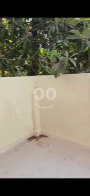 Apartments for sale dans Tripoli - شقة أرضية للبيع
