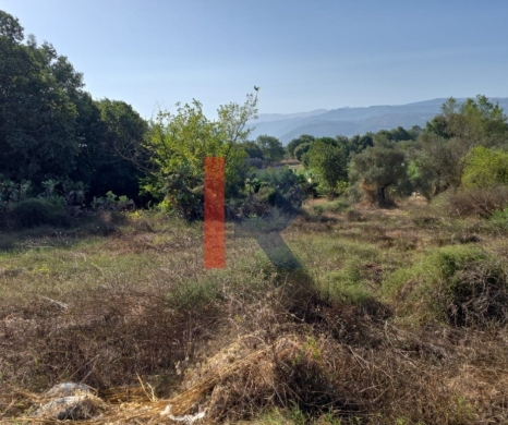 R9-3789 Land for Sale in Batroumine – Koura, 2,000 m², Residential — 3