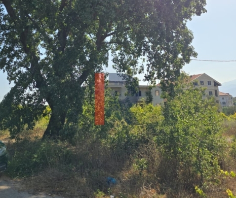 R9-3789 Land for Sale in Batroumine – Koura, 2,000 m², Residential — 2
