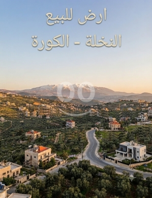 أرض للبيع في النخلة الكورة مساحة 358 متراً مربعاً | Land for Sale in Al Nakhleh Koura 358sqm