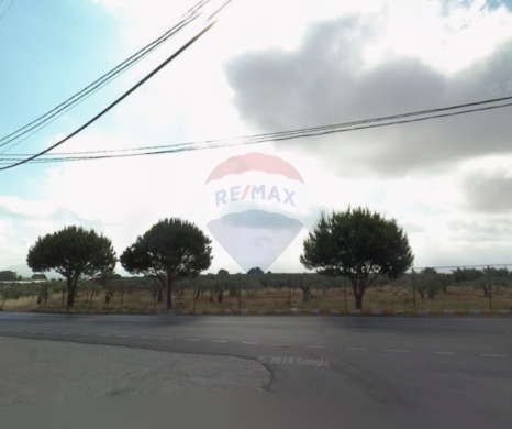 Lands for sale in Deddeh - R9-3791 Land for Sale in Deddeh &ndash; Koura, 10,800 m&sup2;, Zoning 20/40, Residentialأرض للبيع في دده الكورة &ndash; 10,800 م&sup2;، سكنية، تصنيف 20/40