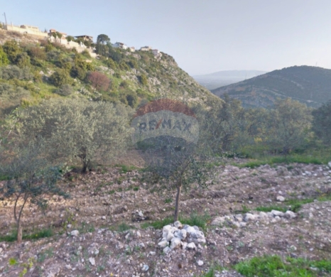R9-3798 Land for Sale in Rechdebbine – Koura, 5,000 m², Residential أرض للبيع في رشدبين الكورة – 5,000 م²، سكنية