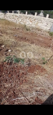 أرض مميزة للبيع القلمون