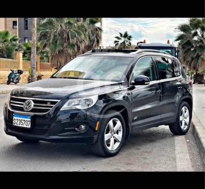 Tiguan 2010