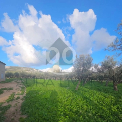 أرض للبيع في أنفة على اتوستراد بيروت مساحة ٢٣٠٠ م٢ | Land for Sale in Chekka Anfeh Beirut Highway