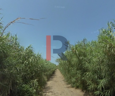 R9-3824 Land for Sale in Basatin – Tripoli, 1,255 m², Residential & Agricultural — 2