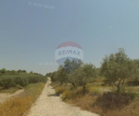 R9-3821 Land for Sale in Bziza – Koura, 20,000 m², Agricultural & Residentialأرض للبيع في… — 3