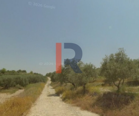 R9-3821 Land for Sale in Bziza – Koura, 20,000 m², Agricultural & Residential — 3