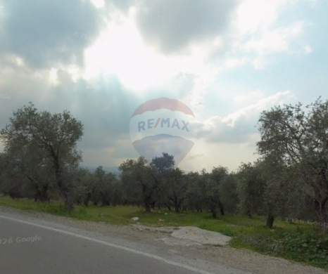 R9-3831 Agricultural Land for Sale in Zgharta – North Lebanon, 27,246 m², Olive Groveأرض زراعية للبيع في زغرتا – شمال لبنان، 27,246 م²، مزروعة زيتون
