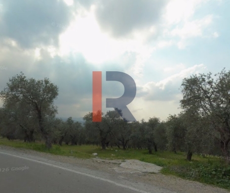 R9-3831 Agricultural Land for Sale in Zgharta – North Lebanon, 27,246 m², Olive Grove