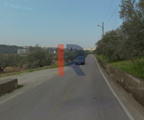 R9-3831 Agricultural Land for Sale in Zgharta – North Lebanon, 27,246 m², Olive Grove — 2