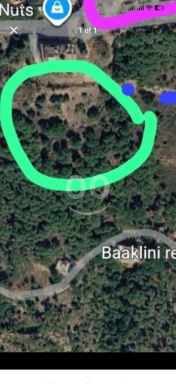 ارض للبيع في برمانا بسعر استثنائي | Land for Sale in Broummana - Green Deed