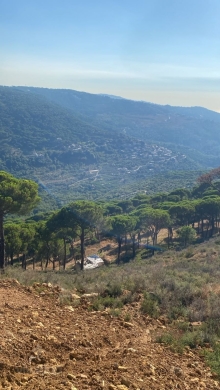 أرض مشجرة صنوبر في صليما المتن الأعلى | Pine Forested Land for Sale in Salima Upper Meton — 9