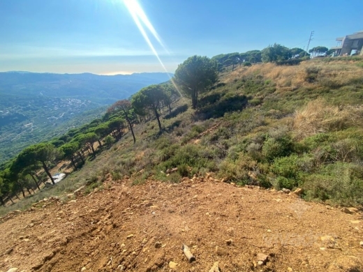 أرض مشجرة صنوبر في صليما المتن الأعلى | Pine Forested Land for Sale in Salima Upper Meton — 7