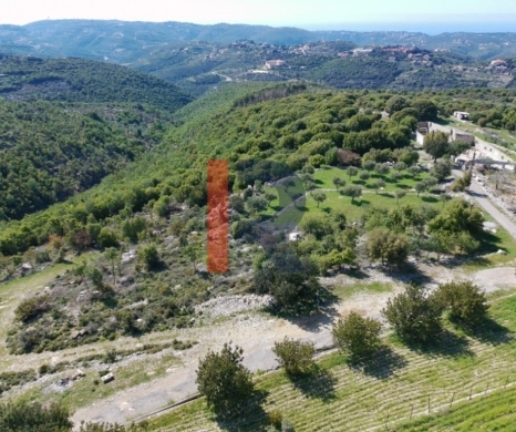 R9-3841 Land for Sale in Shebwata – Batroun, 11,765 m², Residential Zoning 20/40 — 2