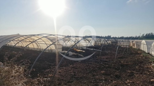 فرصة زراعية واستثمارية مميزة جداً في سهل عكار السمقلي