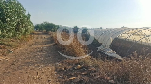 فرصة زراعية واستثمارية مميزة جداً في سهل عكار السمقلي — 2