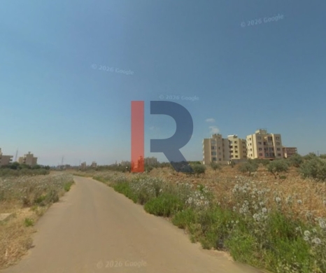 R9-3848 Land for Sale in Abou Samra – Tripoli, 1,000 m², Residential, Olive Trees — 3