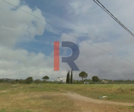 R9-3847 Agricultural Land for Sale in Amioun – Koura, with Olive Trees — 4