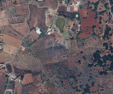 R9-3847 Agricultural Land for Sale in Amioun – Koura, with Olive Treesأرض زراعية للبيع في أميون – الكورة، مزروعة بـ 20 شجرة زيتون