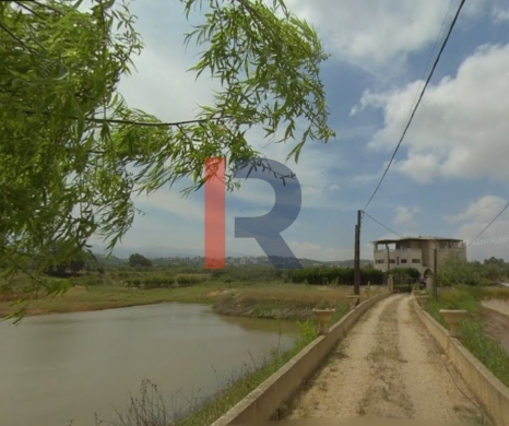 R9-3847 Agricultural Land for Sale in Amioun – Koura, with Olive Trees — 2