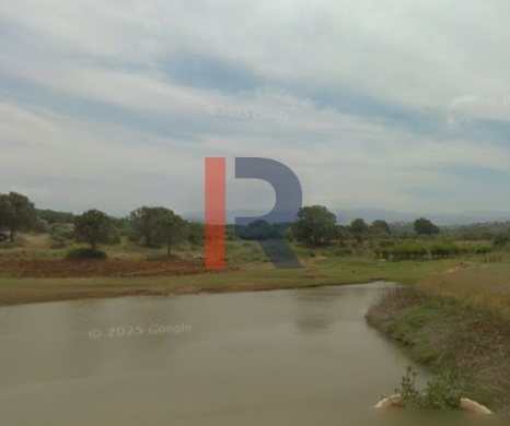 R9-3847 Agricultural Land for Sale in Amioun – Koura, with Olive Trees — 3