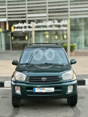 TOYOTA RAV4 2002