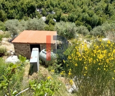 R9-3813 Land for Sale in Hadtoun – Keserwan, 1,565 m², Agricultural