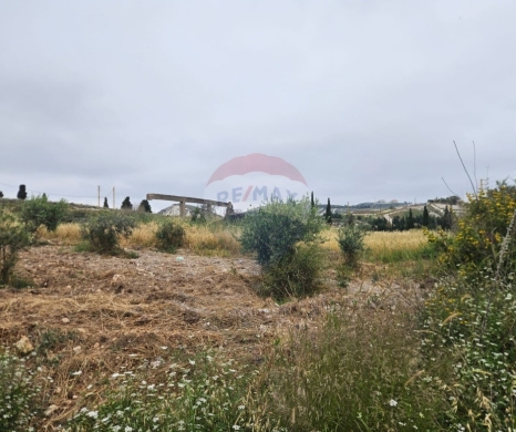 R9-3877 Land for Sale in Bechmezzine – Koura, 889 m², Zoning 20/40 أرض سكنية للبيع في بشمزين – الكورة، 889 م²، تنظيم 20/40