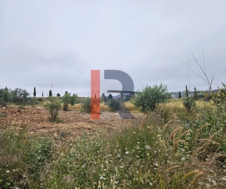 R9-3877 Land for Sale in Bechmezzine – Koura, 889 m², Zoning 20/40 — 4