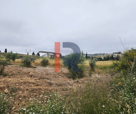 R9-3877 Land for Sale in Bechmezzine – Koura, 889 m², Zoning 20/40